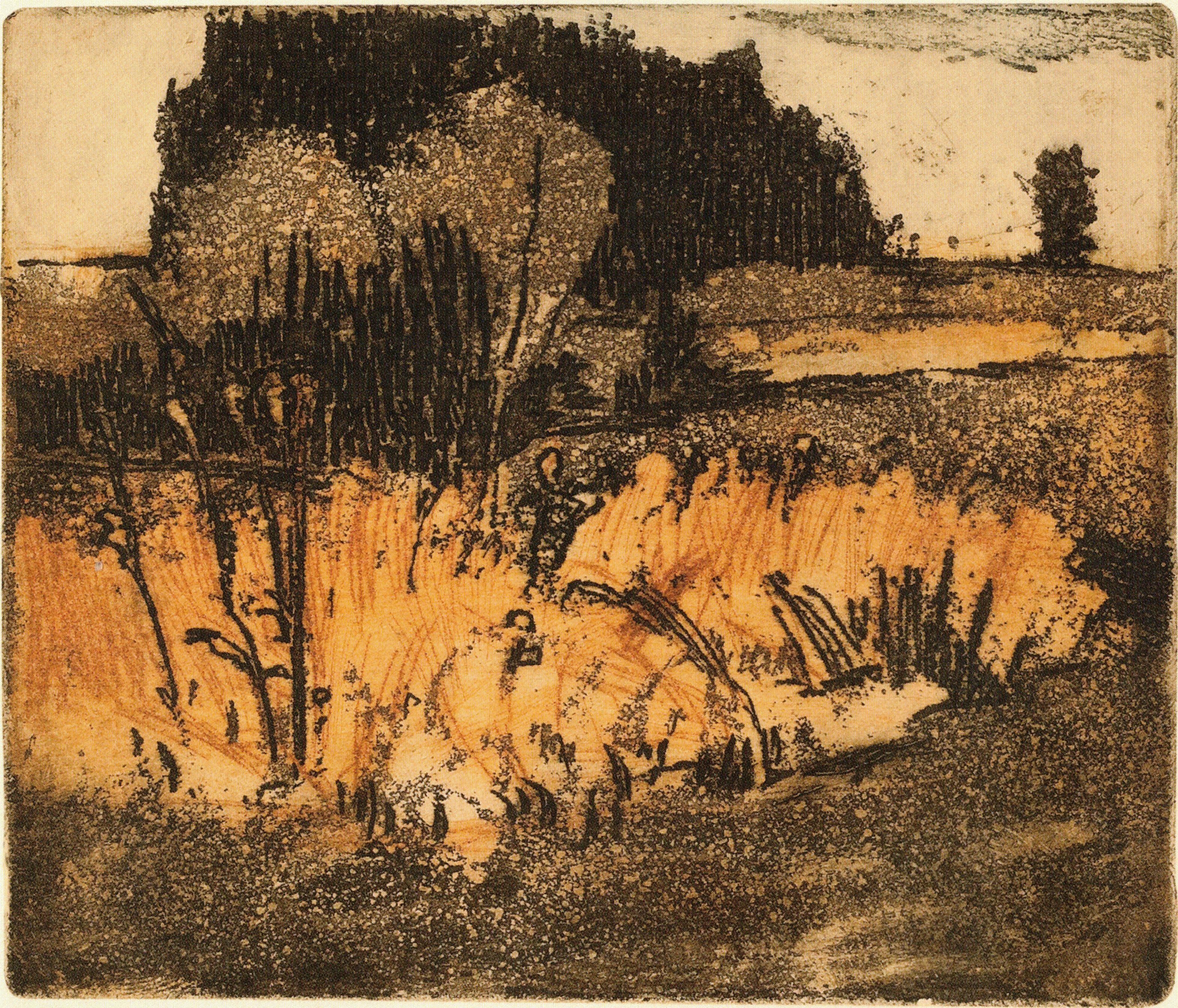Obrázek