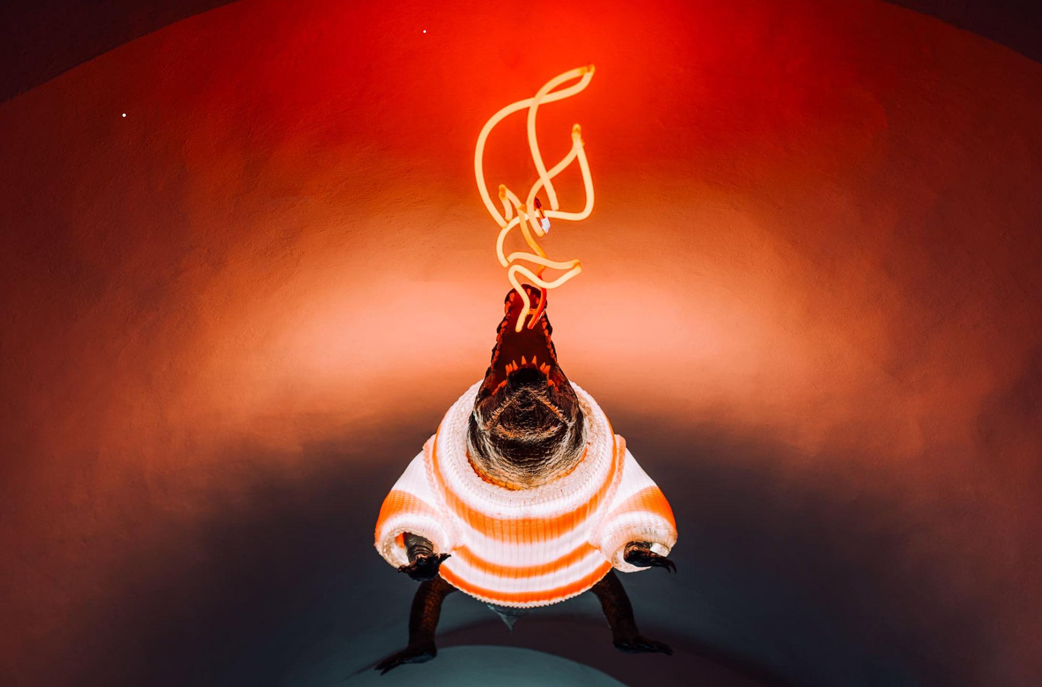 Ikonický drak ve svetru od studia nahaku v průchodu Staré radnice.