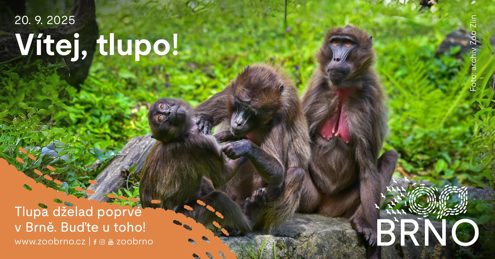 Slavnostní den Vítej, tlupo! nebude jen o otevření nového výběhu.