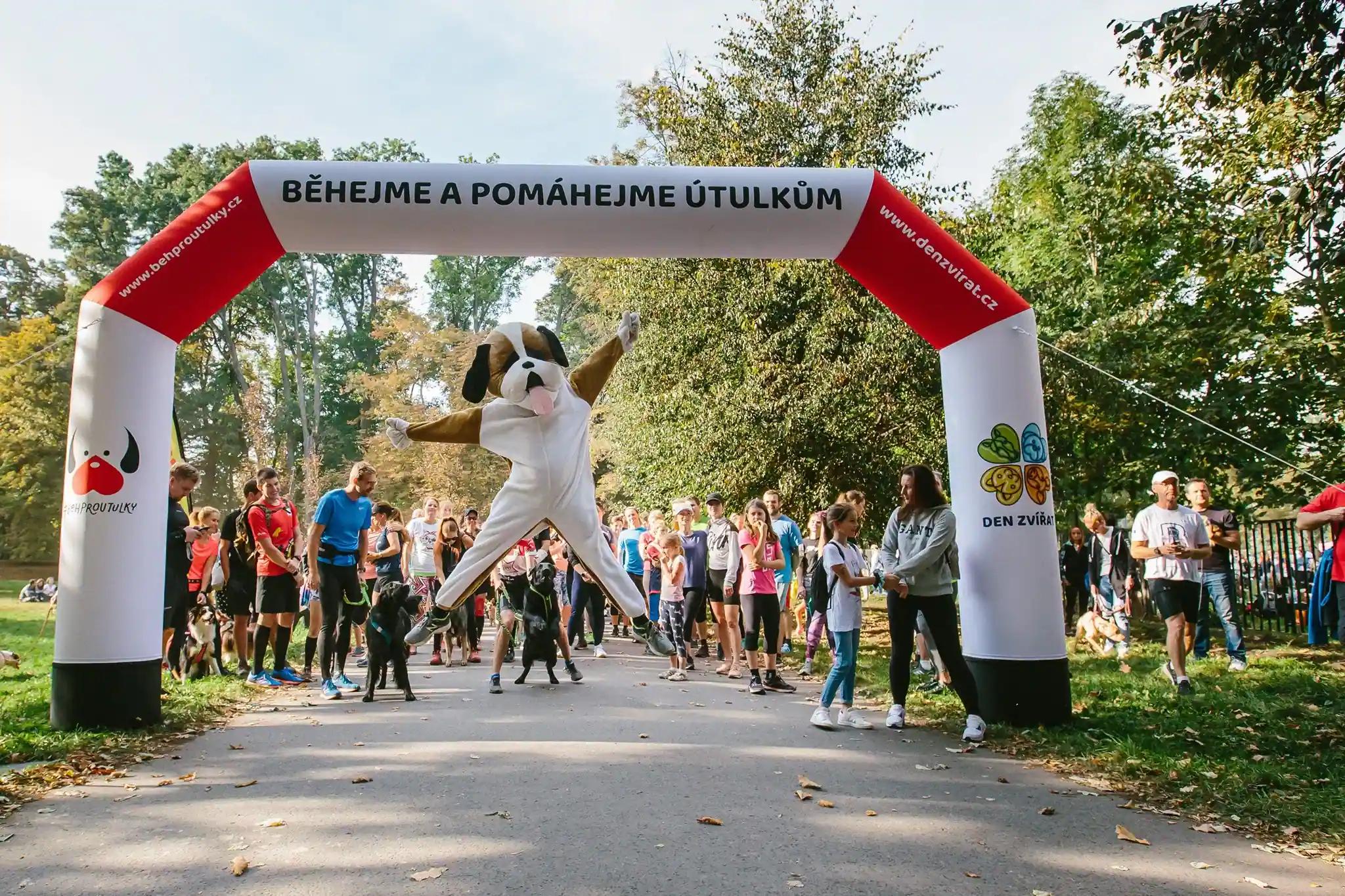 Obrázek