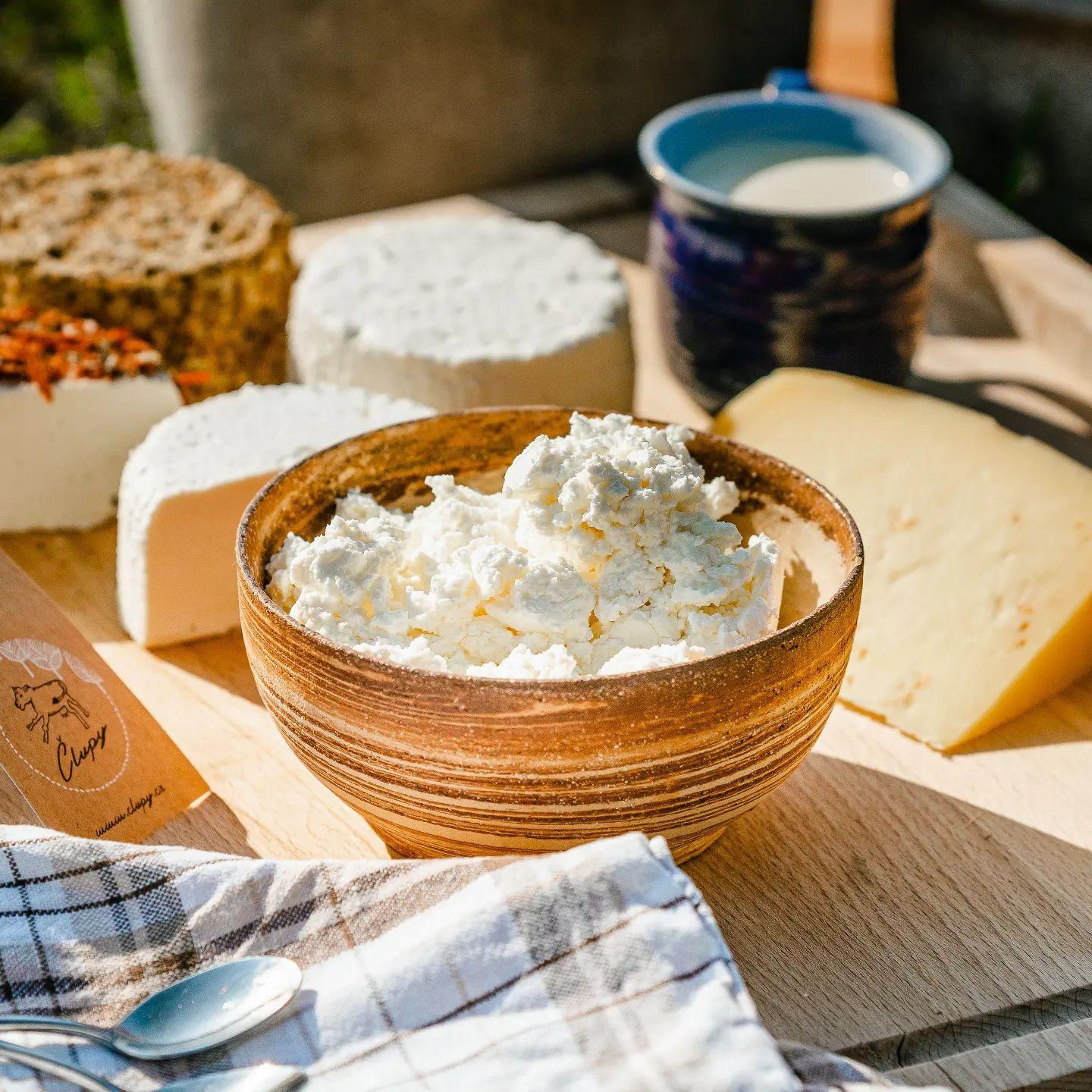 7 tipů na farmy v okolí Brna: Kde koupit poctivé mléko, sýry & vejce?