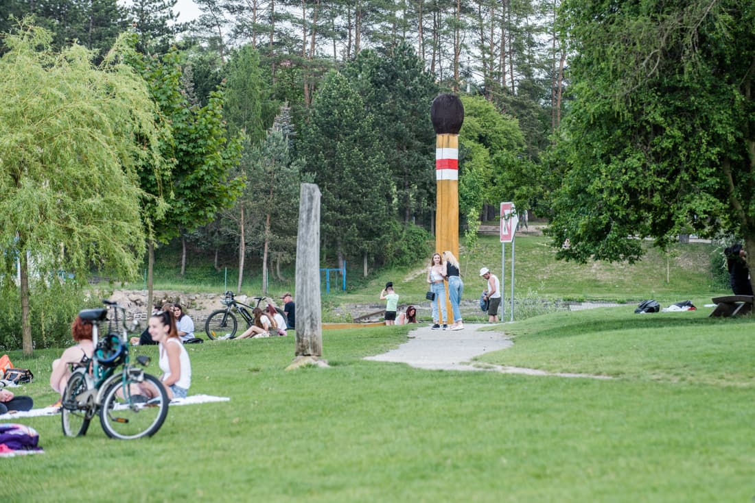 Sirka na přehradě.