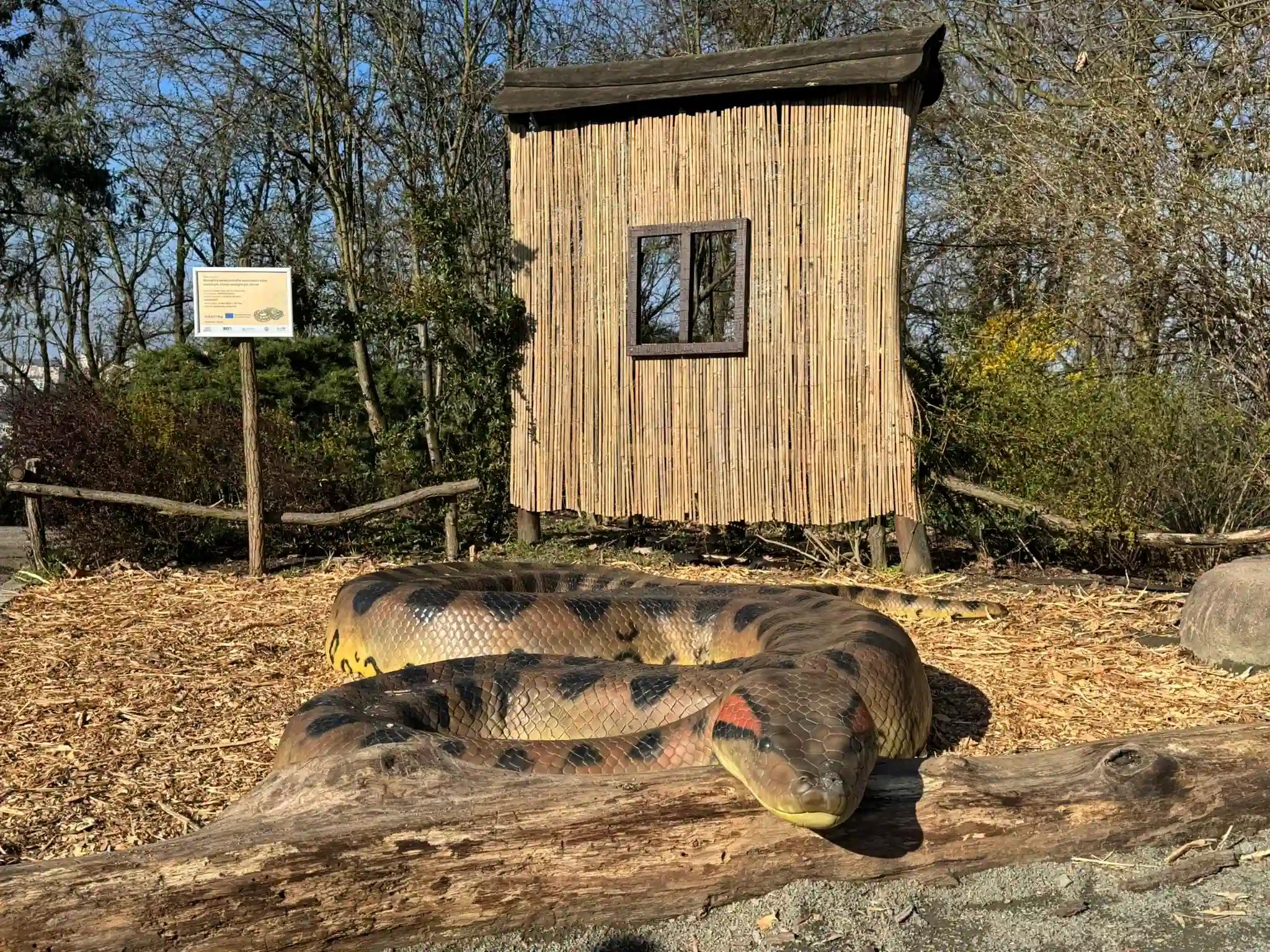 Letošní ročník Dne přírodních věd se zaměří na mokřady