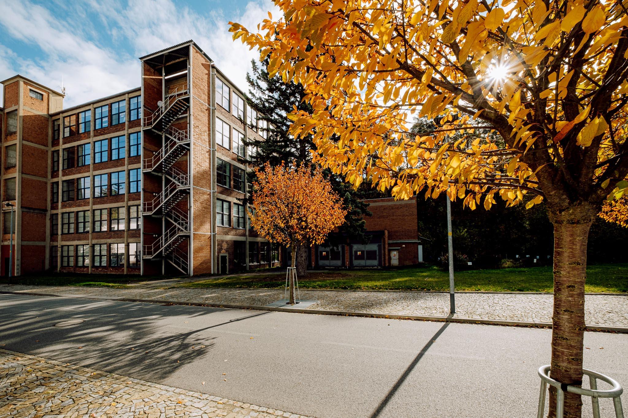 Revitalizované budovy slouží jako centrum pro podnikání, kulturu i bydlení.