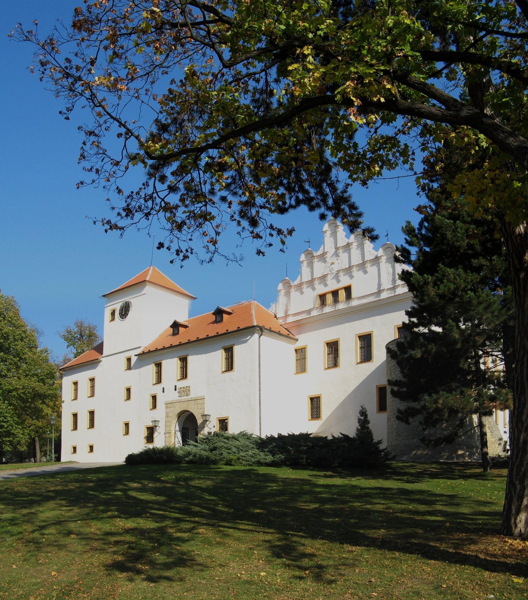 Obrázek