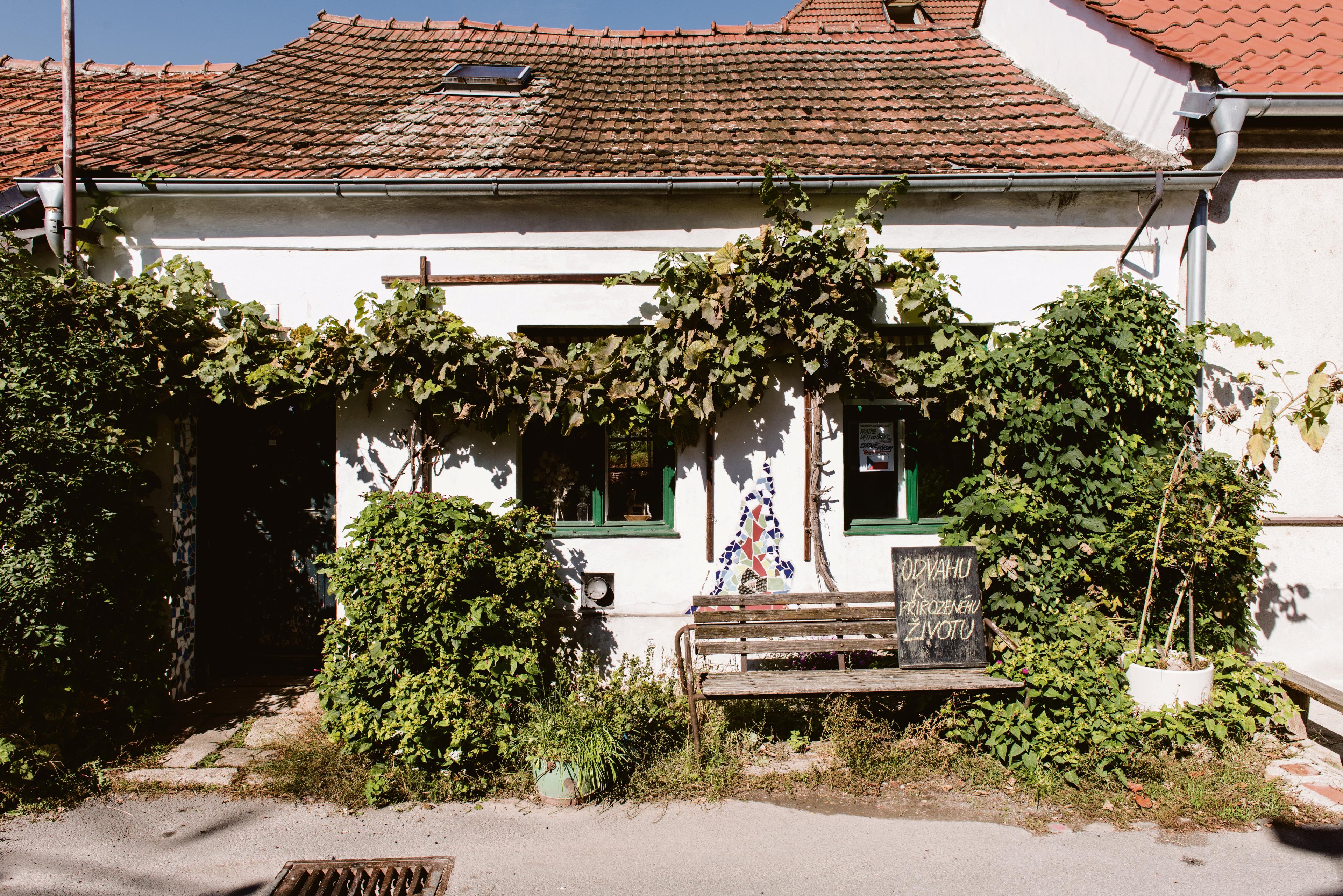 Ze života Kamenné kolonie.