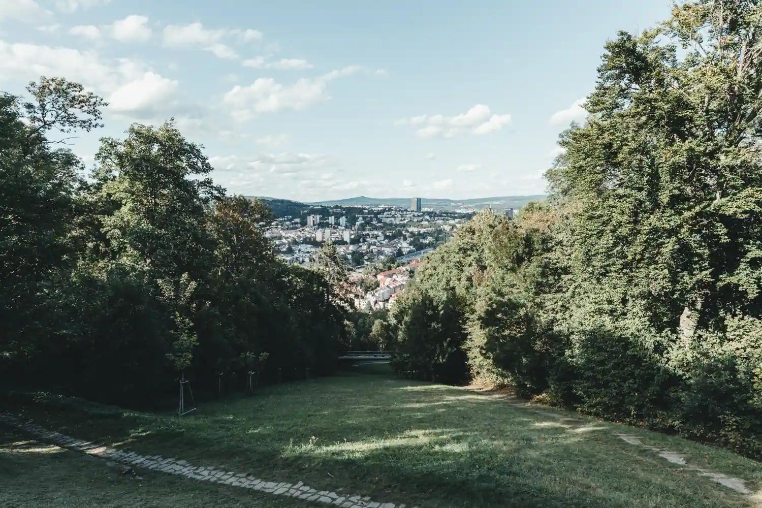 Výhled z Wilsonova lesa