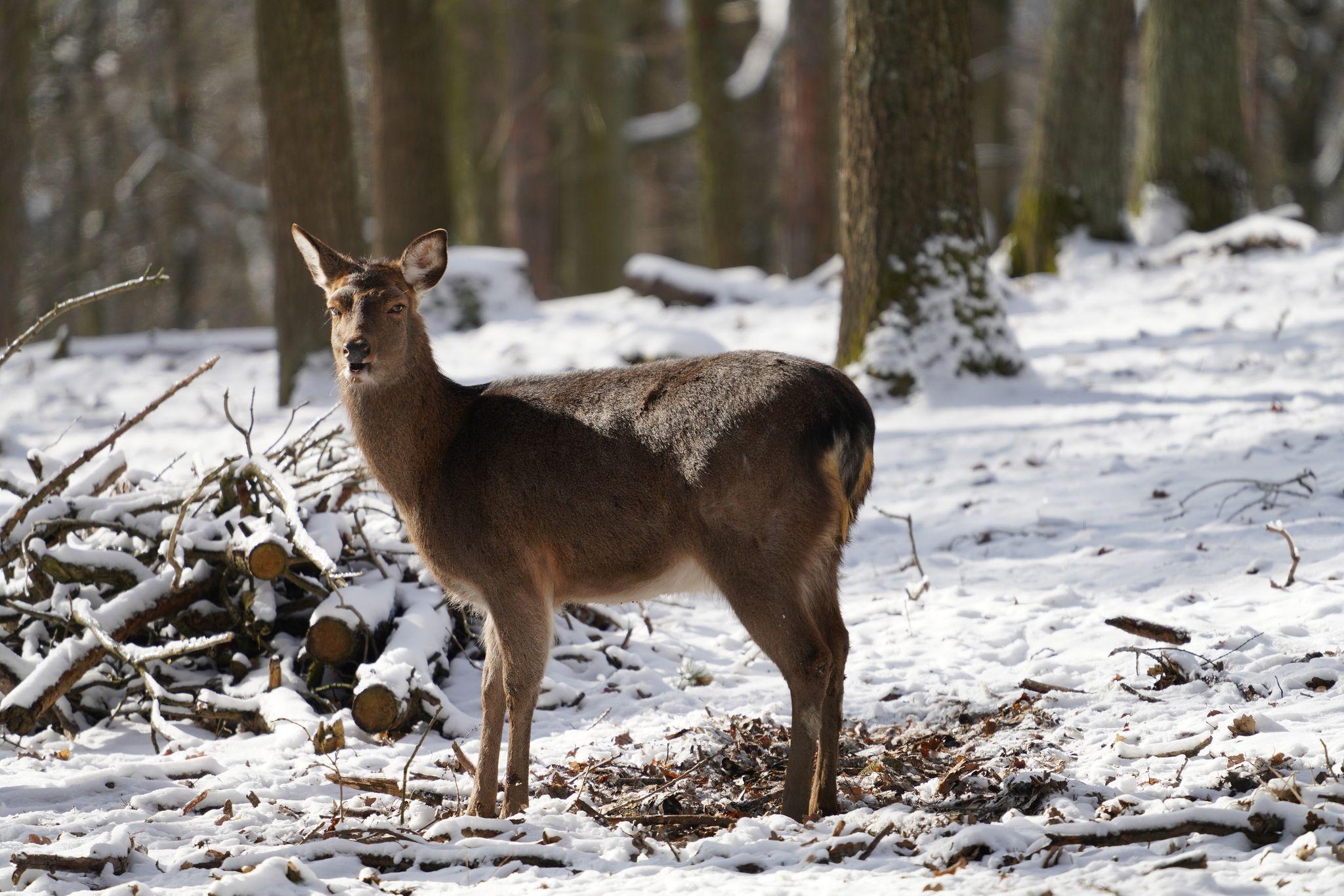 Výjimečná příroda kousek od centra