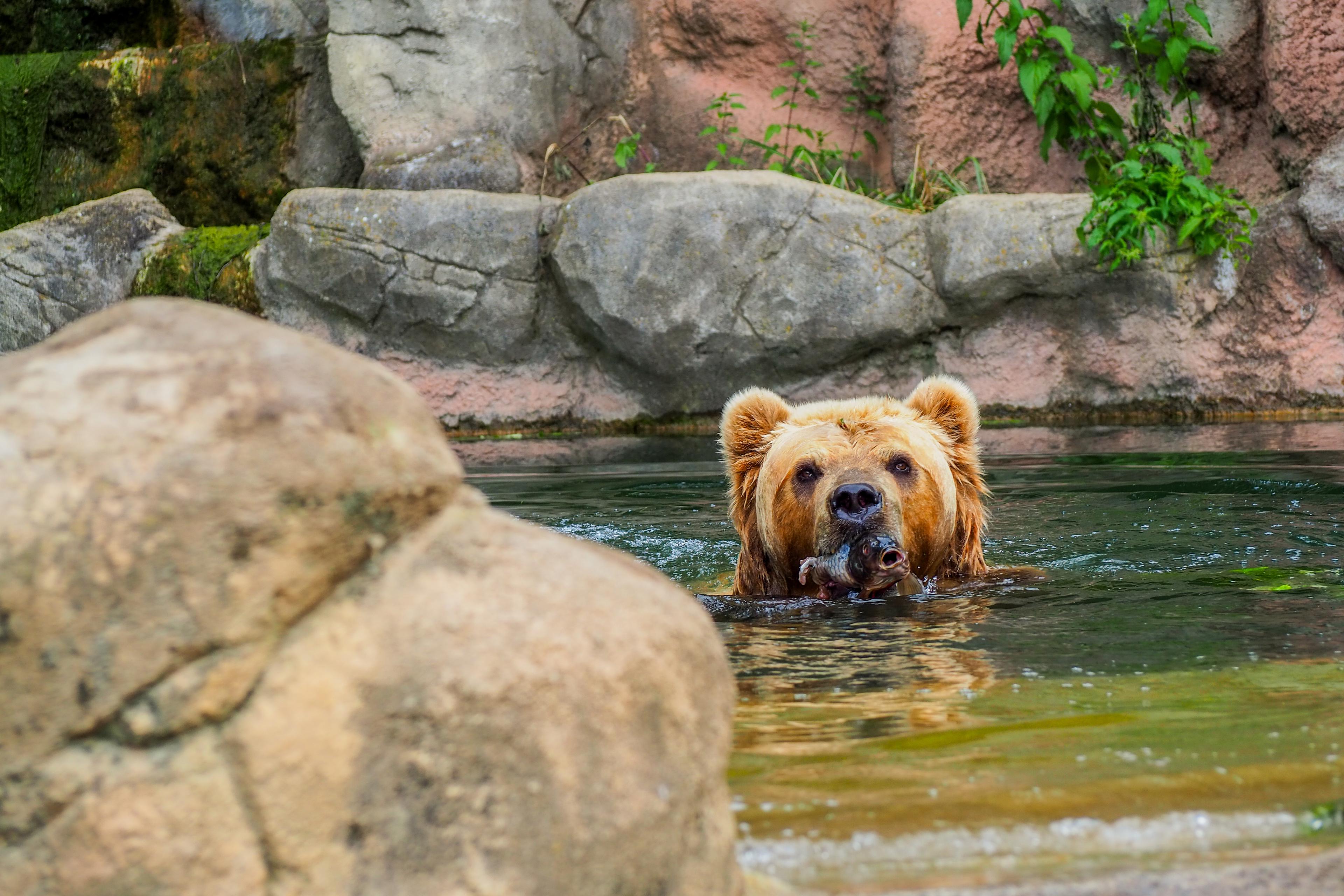 Irina nejraději lovila rybky ve svém jezírku