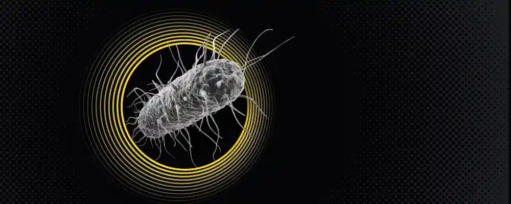 Dny elektronové mikroskopie