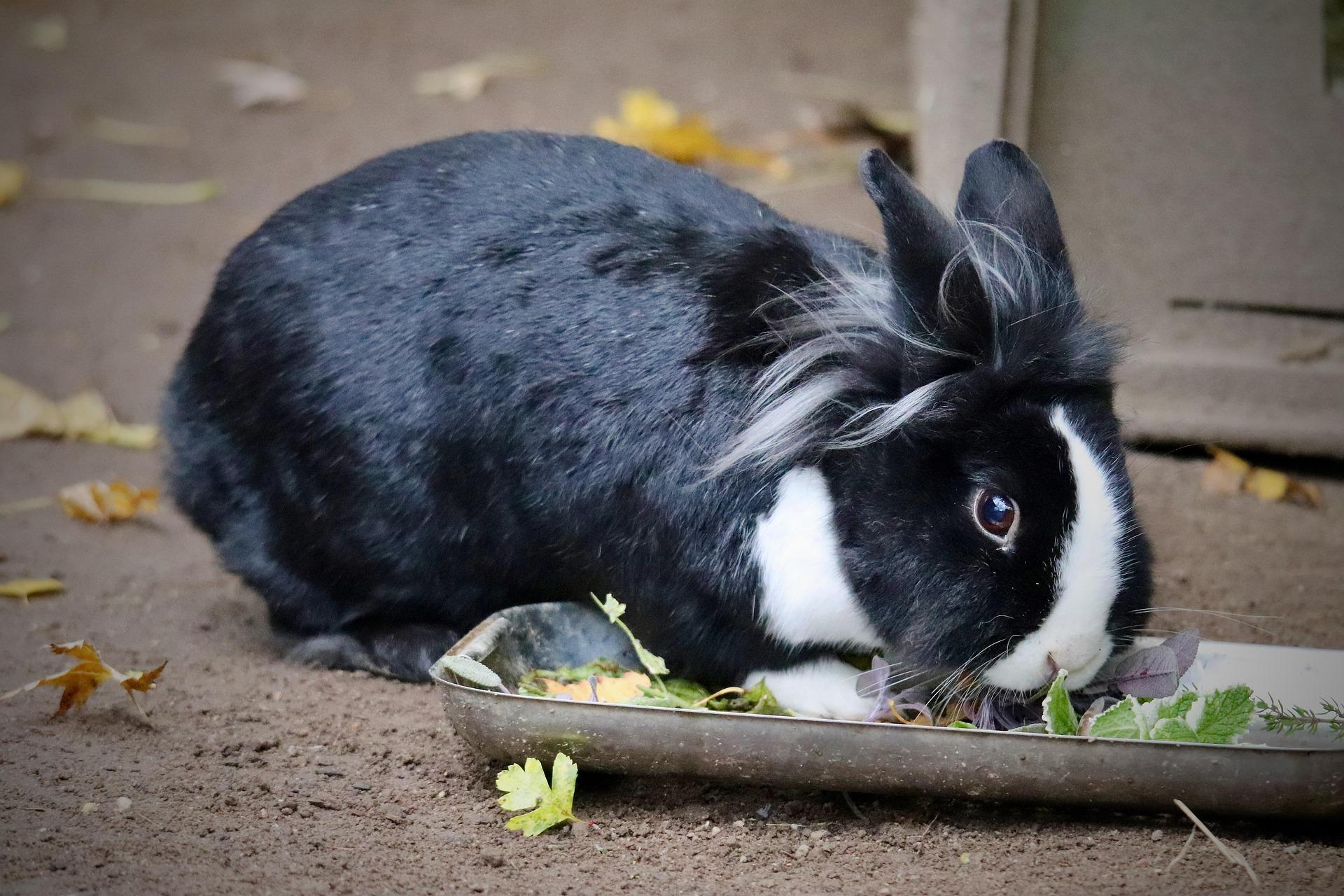 Středisko nabízí nejrůznější aktivity pro děti