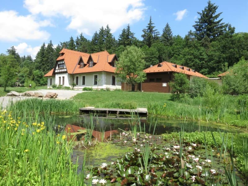 Obrázek