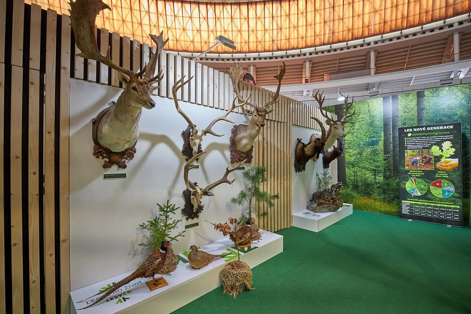 Vedle odborného programu bude připraven i myslivecký program, výstavy trofejí a ukázky tradičních řemesel