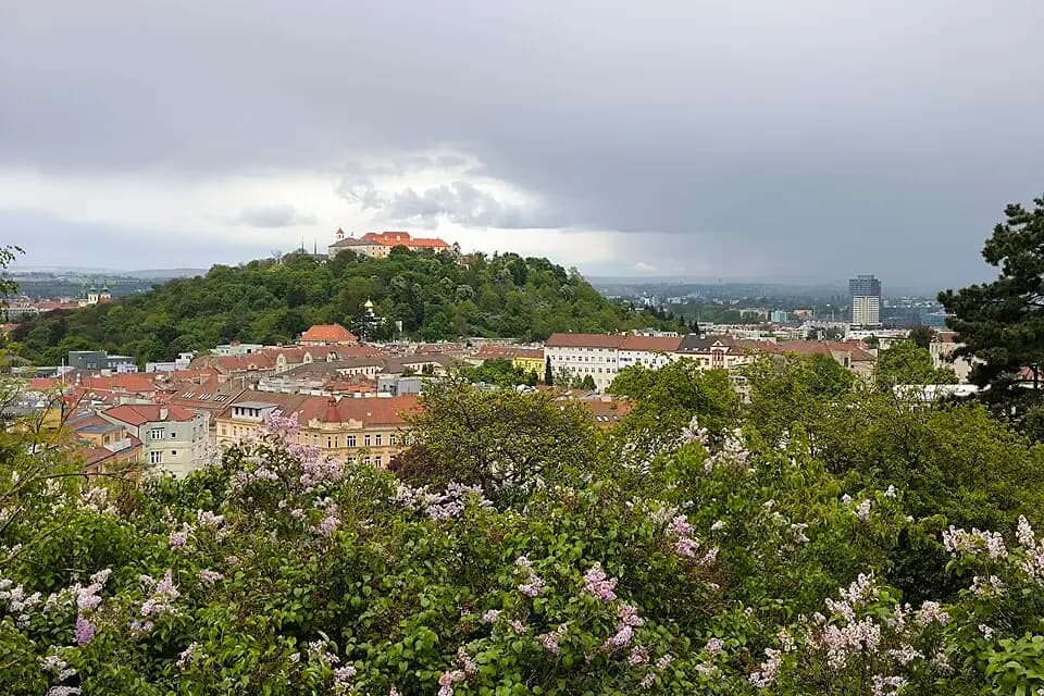 Kraví hora