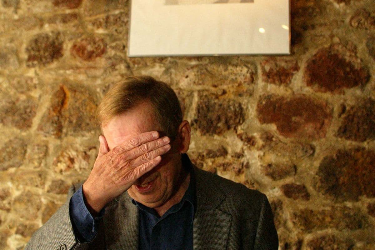 Obrázek
