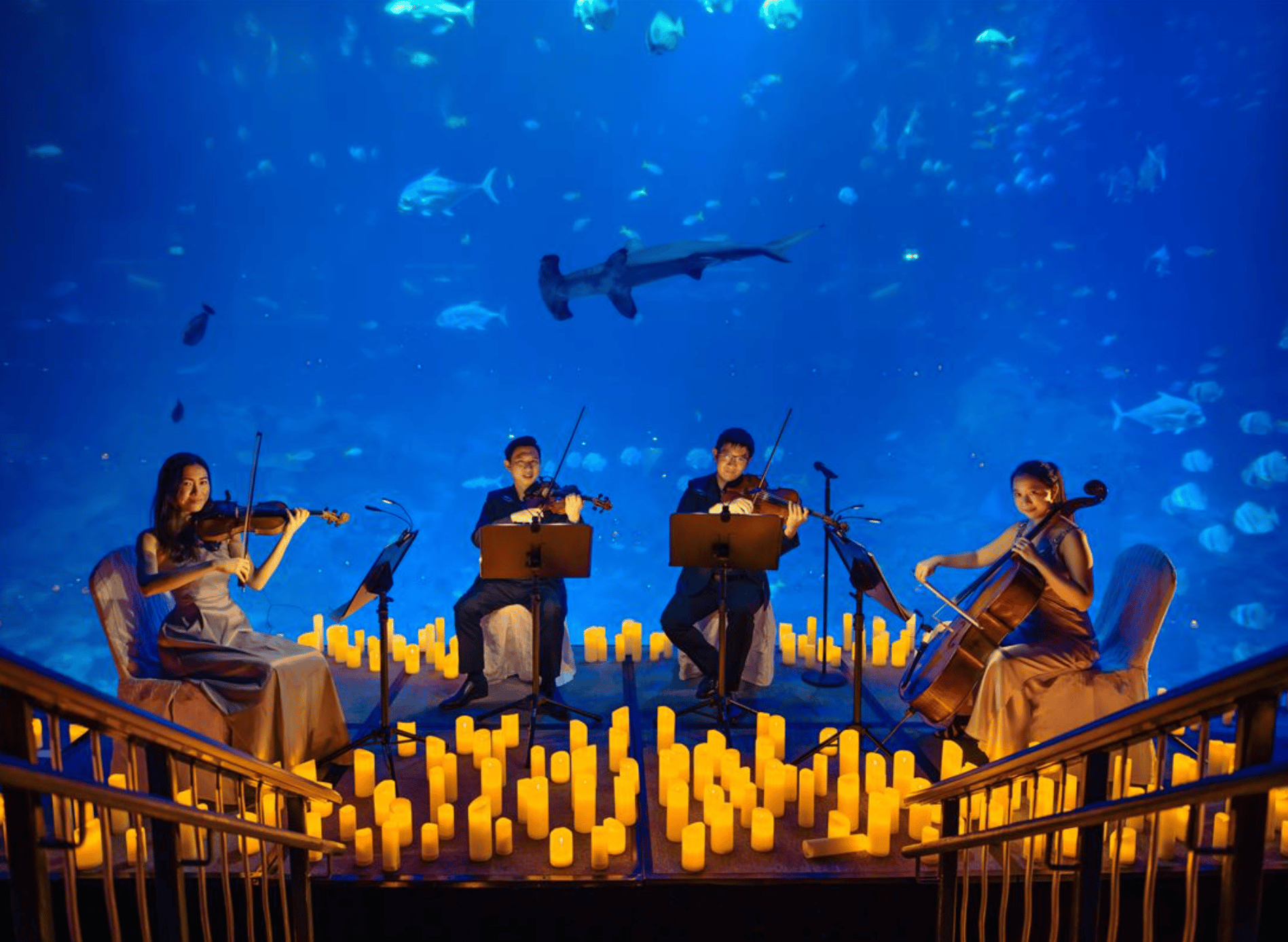 Candelight koncert v akváriu