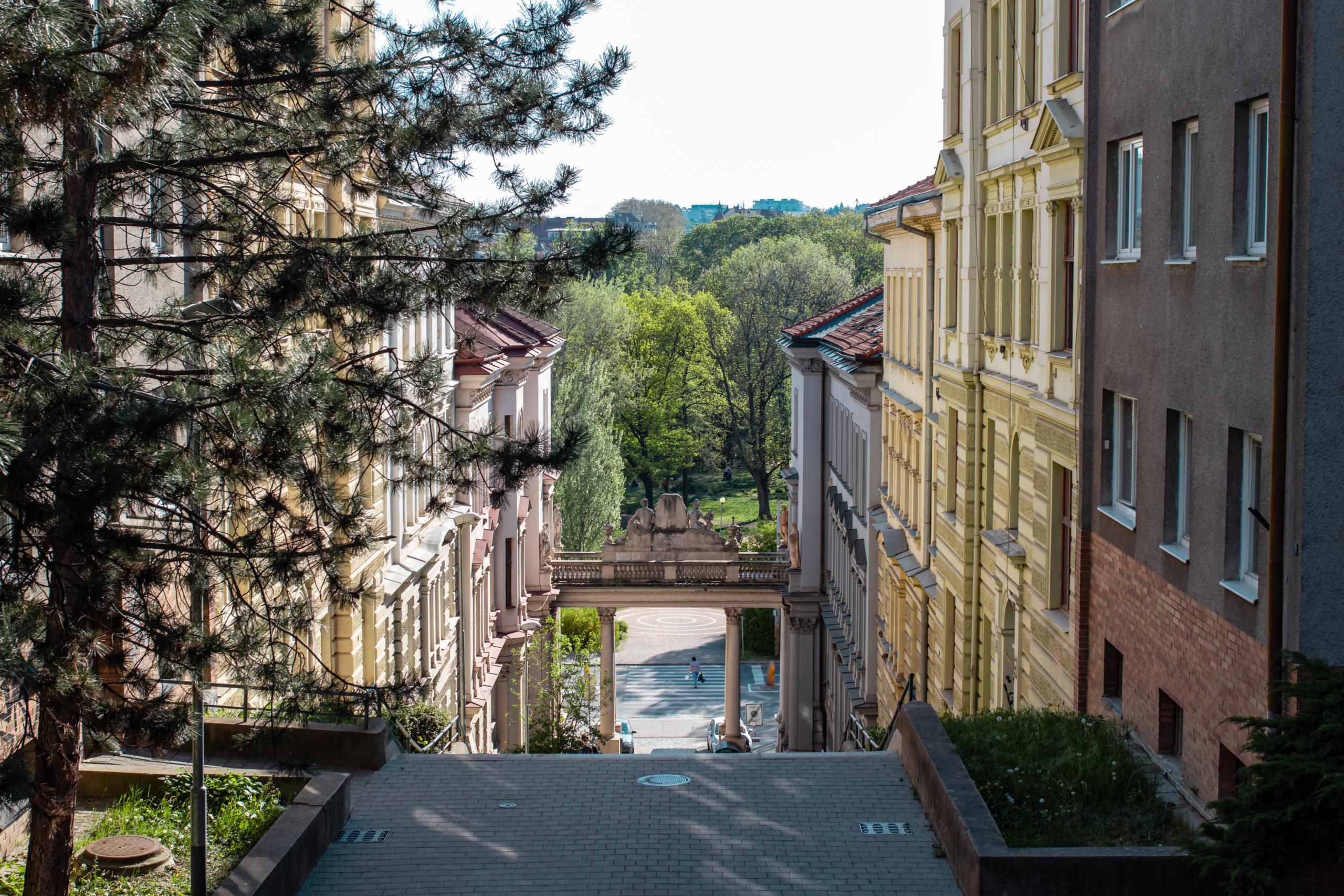 Obrázek