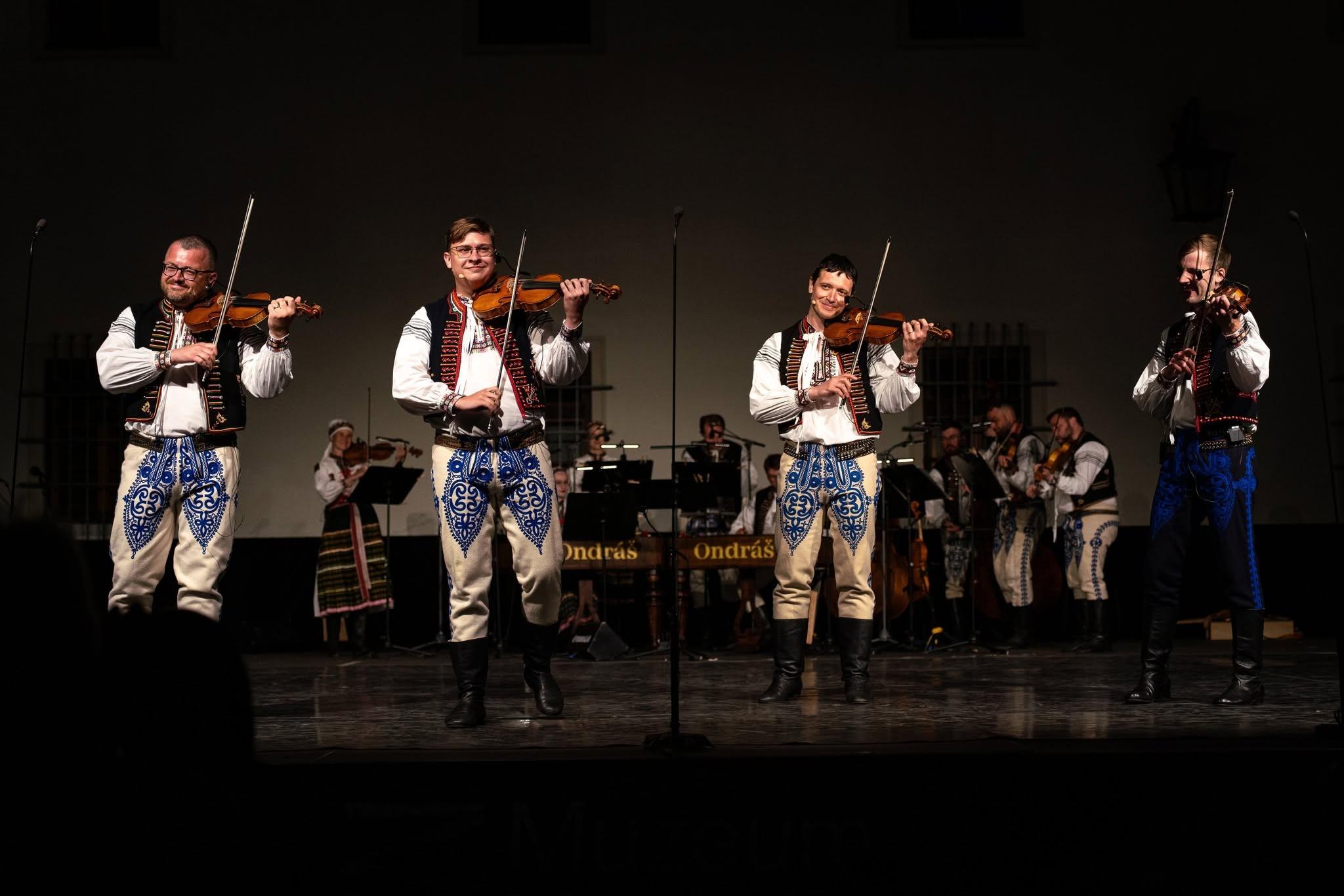 Obrázek