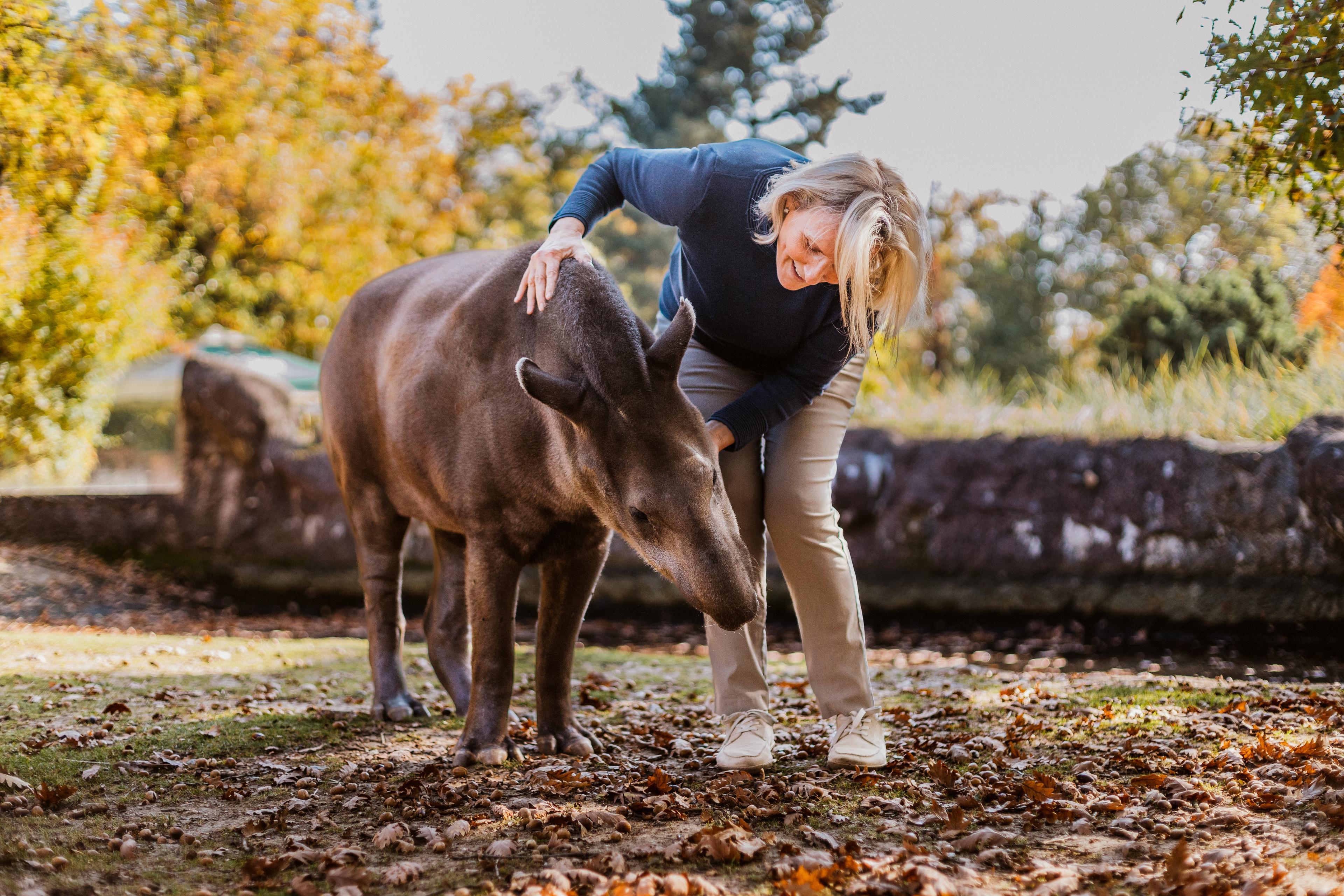 Radana Dungelová s tapírem.