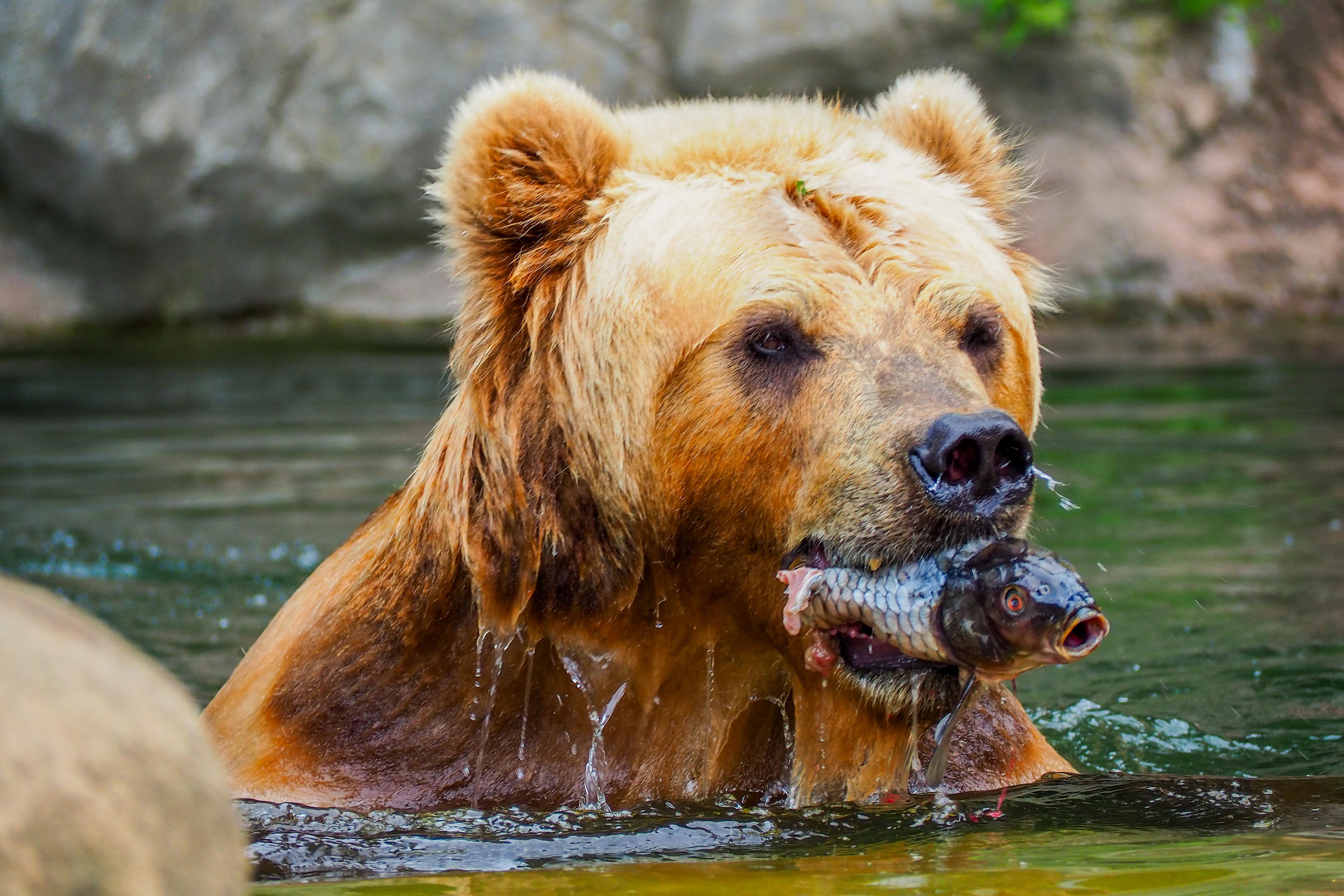 Irina nejraději lovila rybky ve svém jezírku