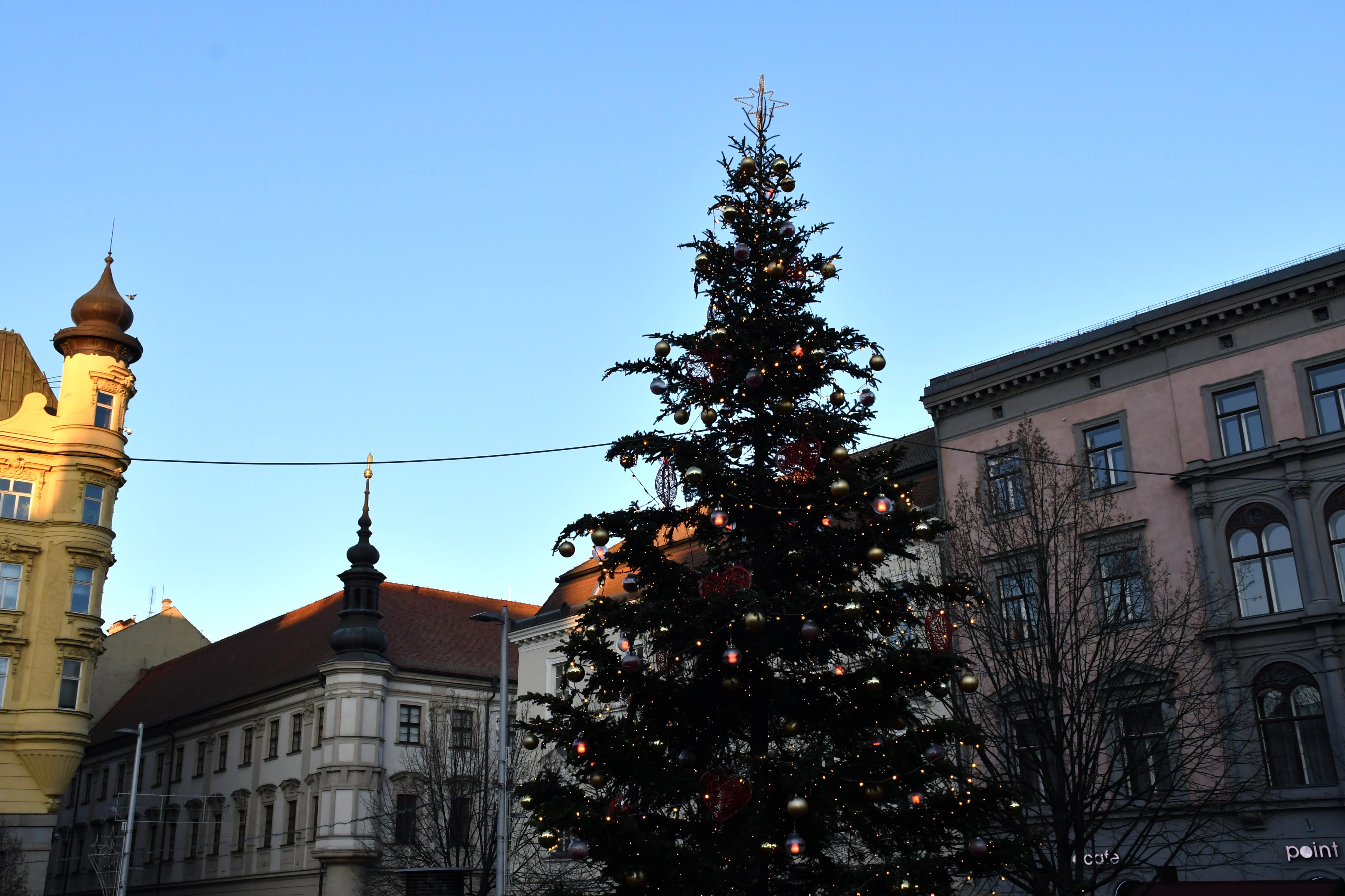Vánoční strom na náměstí Svobody.