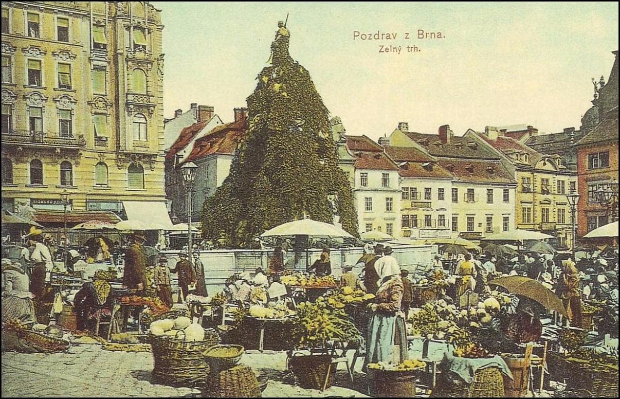 Parnas porostlý zelení.