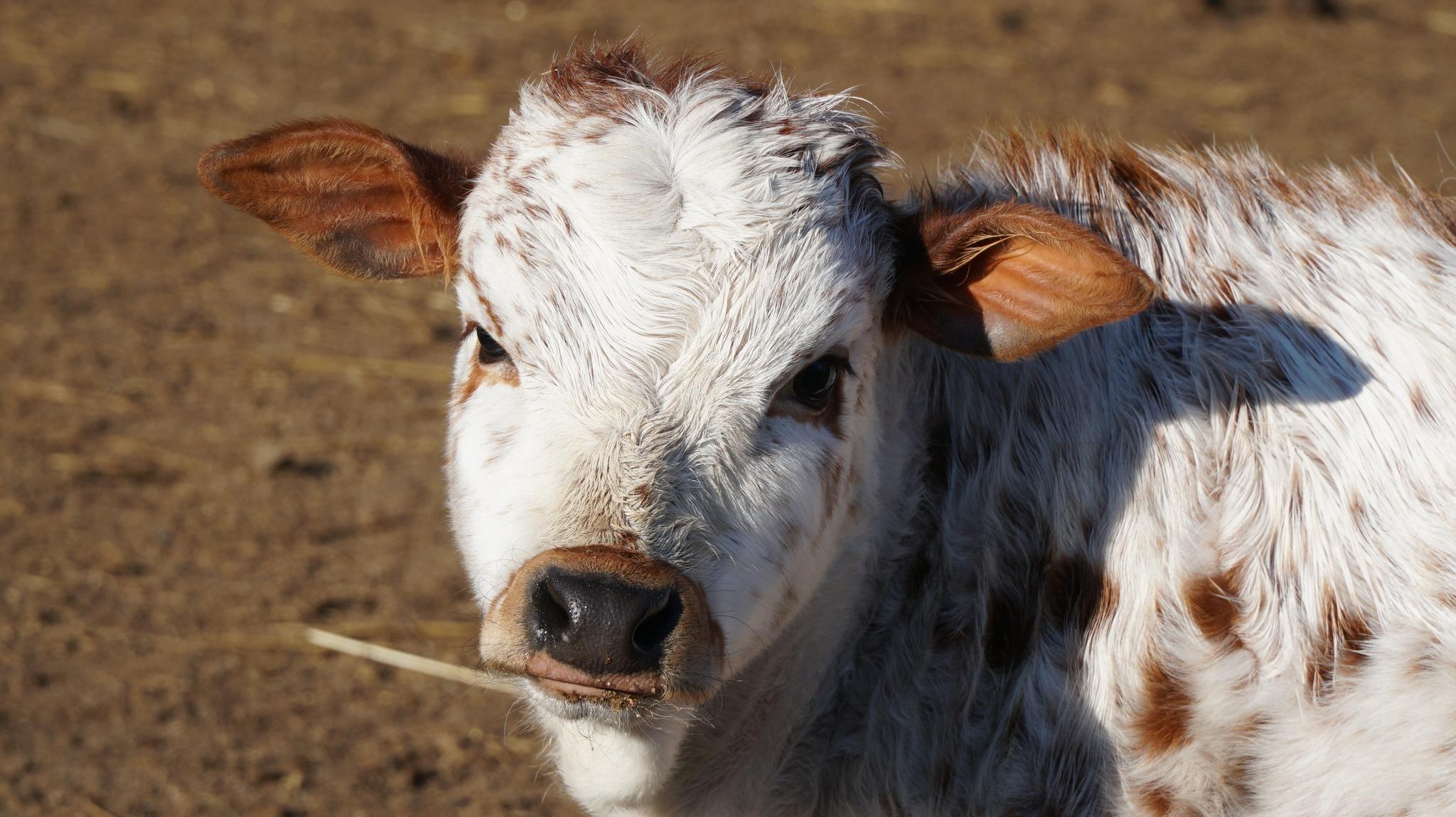 Tady se děti určitě nudit nebudou