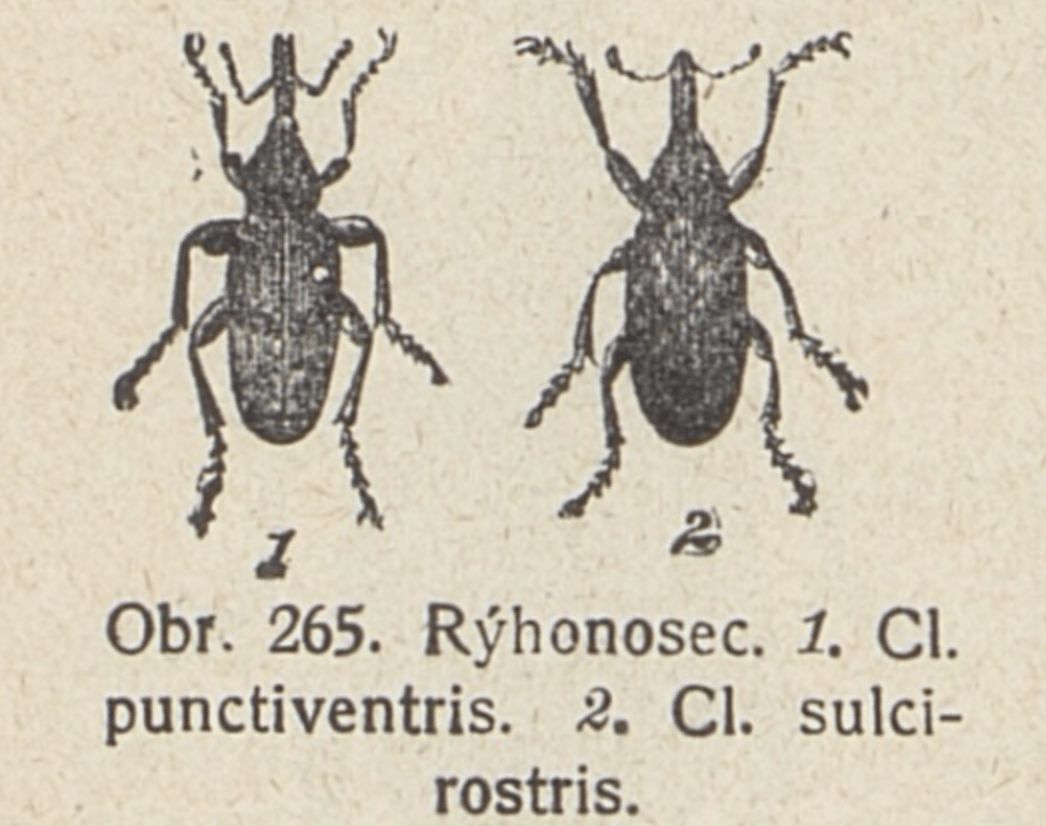 Nepřítel v týlu (1949)
