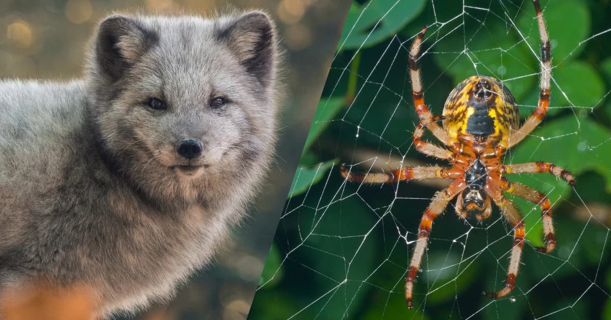 Proč některá zvířata milujeme, zatímco jiná v nás vyvolávají odpor? Přiblíží přednáška Krásní, děsiví či nechutní aneb vztah lidí ke zvířatům