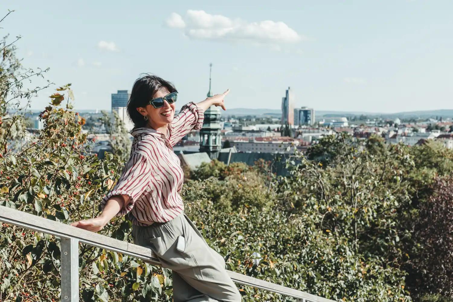 Výhled ze Žlutého kopce