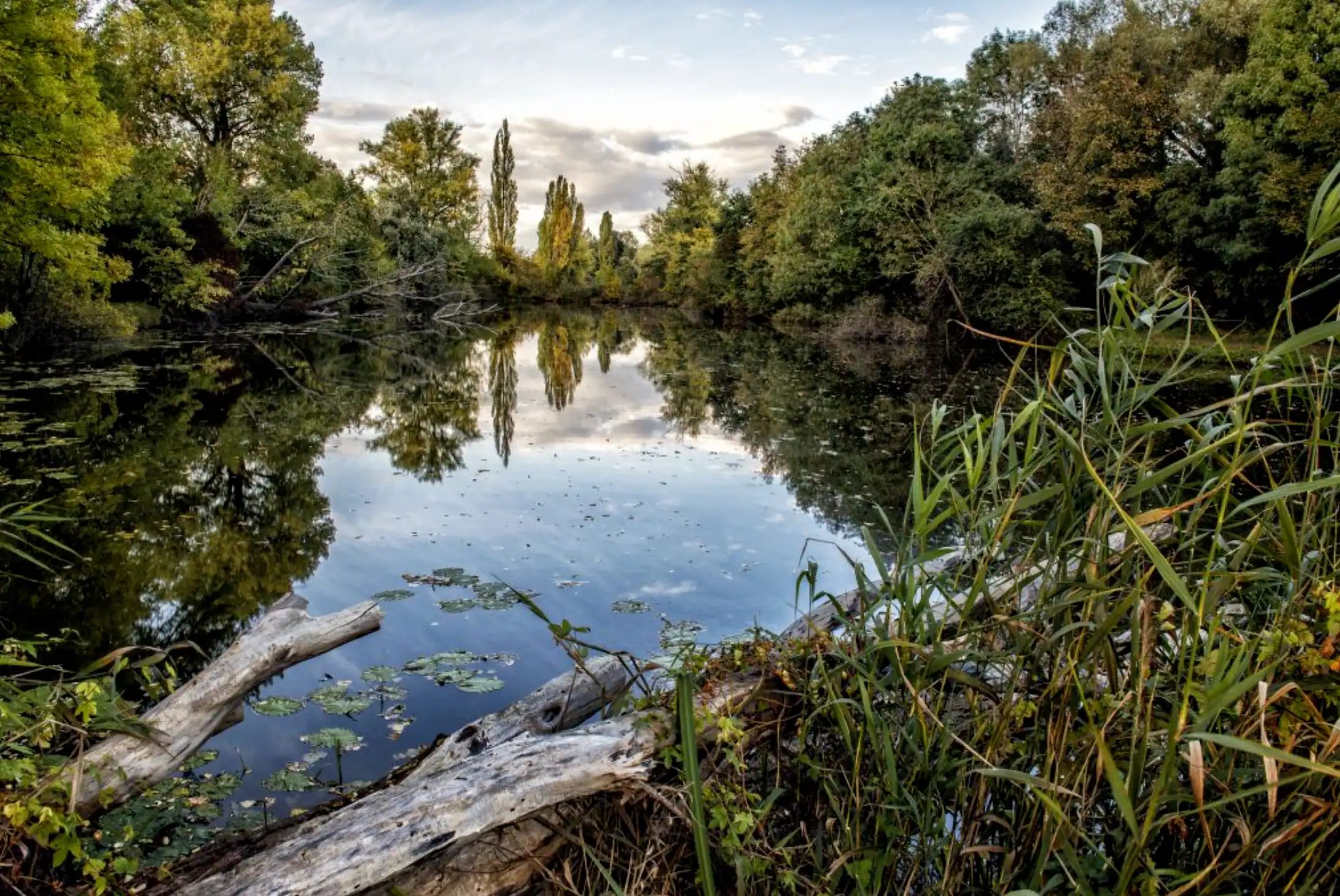 Kam na výlet v Brně? 7 tipů na jarní procházky v přírodě bez davů