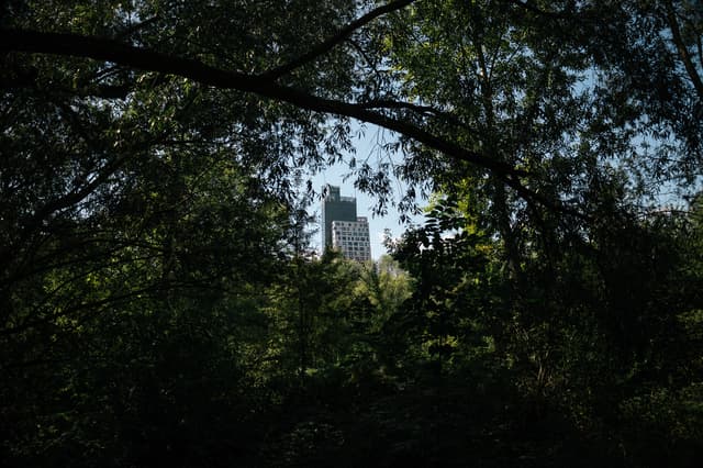 Potřebujeme přírodu ve městě?