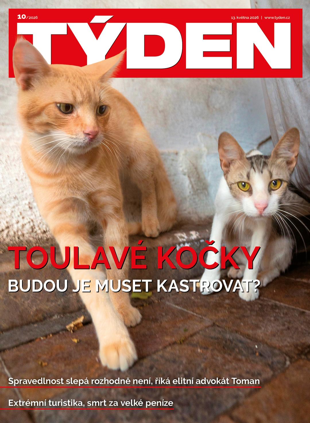 TÝDEN