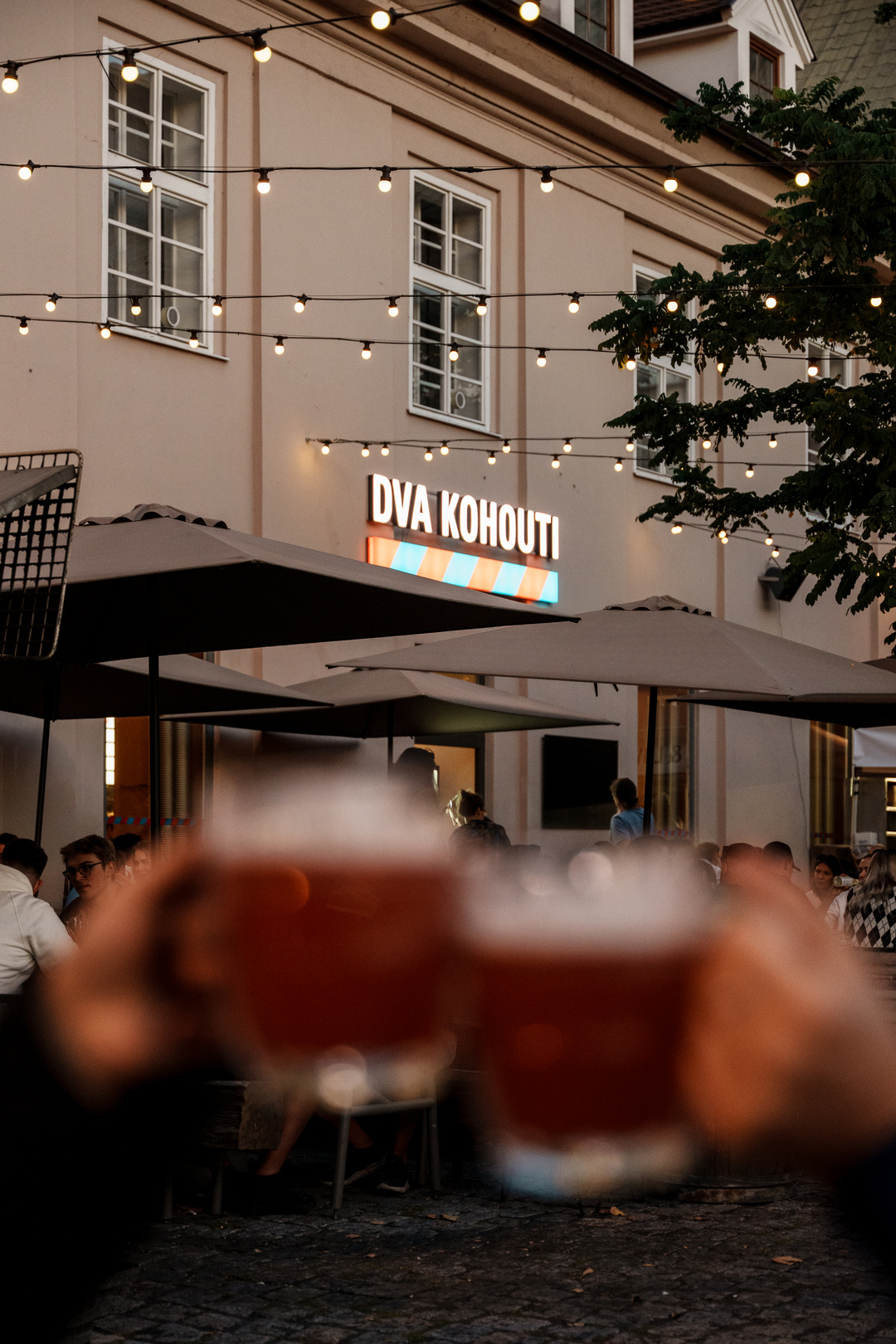 Dvacet dva kohoutů