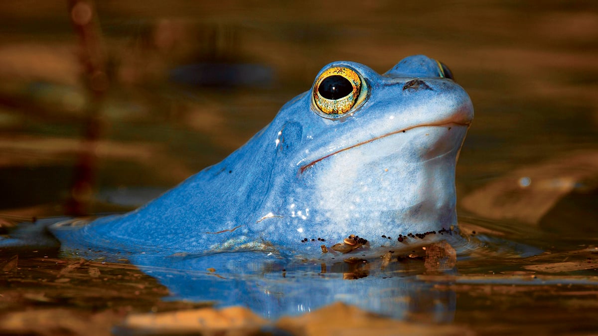 Foto: osobní archiv Lukáše Picha
