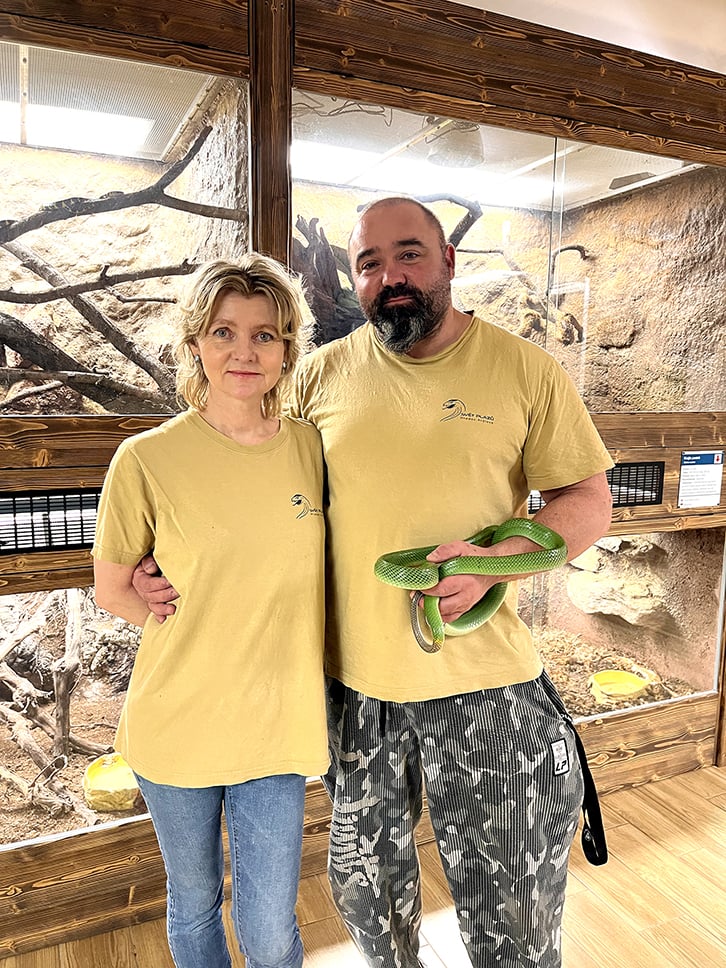 Alena Dostálová a Roman Honců s užovkou ostronosou Gonyosoma oxycephalum Alena Dostálová a Roman Honců s užovkou ostronosou Gonyosoma oxycephalum