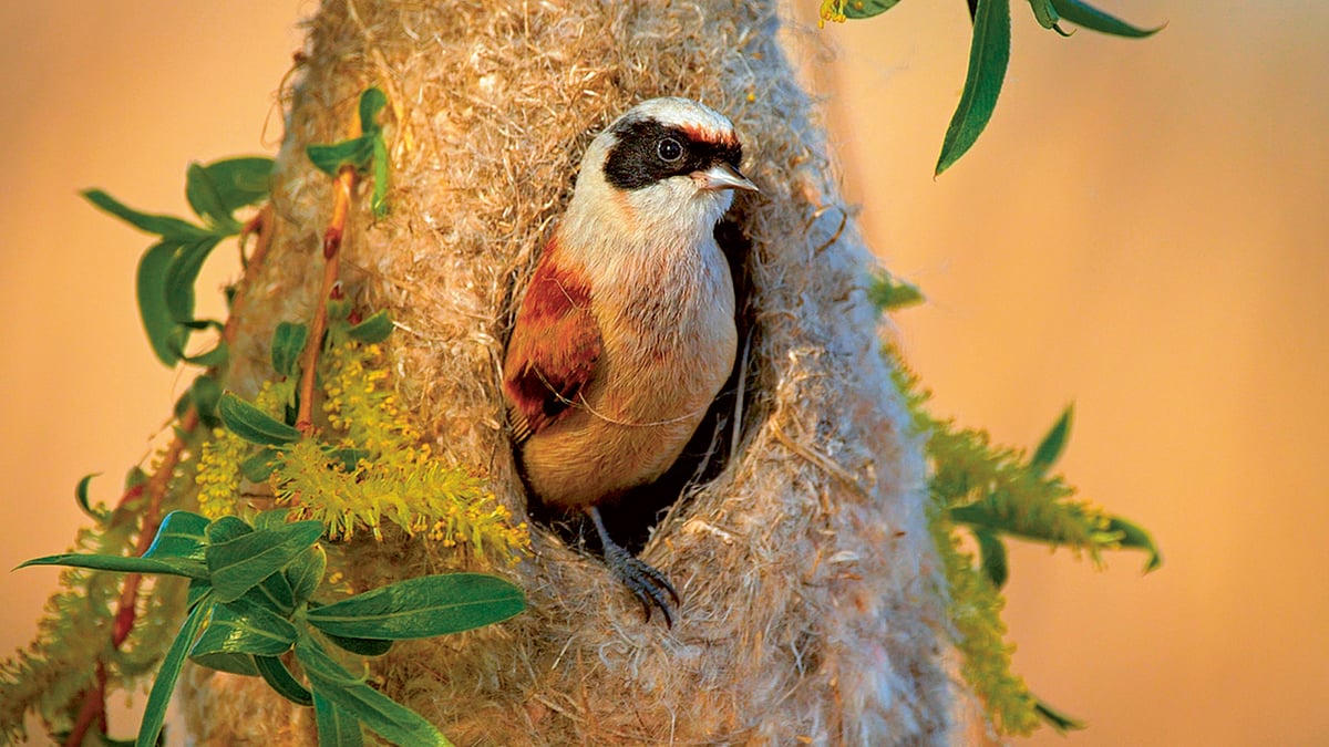 Foto: osobní archiv Lukáše Picha