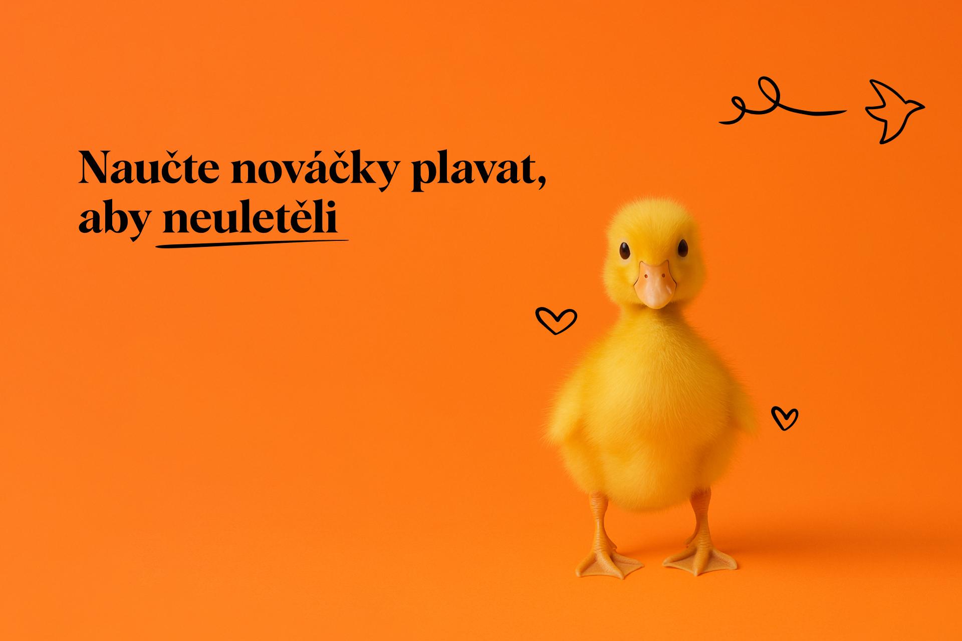 Z HR praxe: Jak snížit fluktuaci nováčků o 35 %