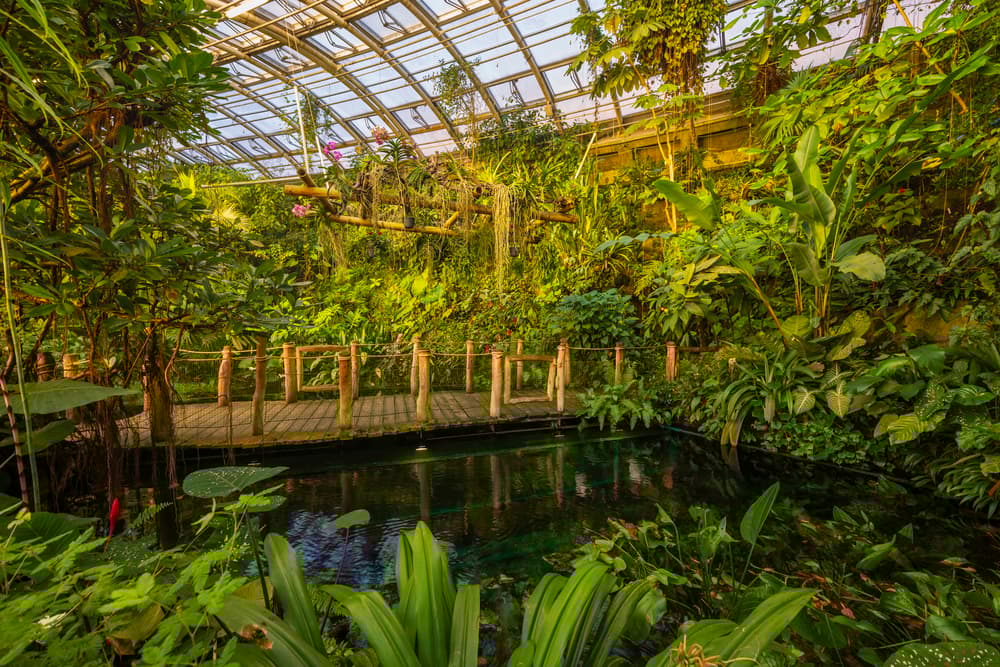 Tropický skleník Fata Morgana - Botanická zahrada Praha