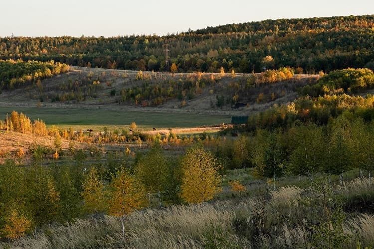 KNOWLIMITS Group / Lom ČSA na Mostecku – místo, kde stát poprvé upustil od klasické rekultivace. Vznikne zde přírodní jezero napouštěné podzemní vodou, které má snížit náklady a pomoci regionu.