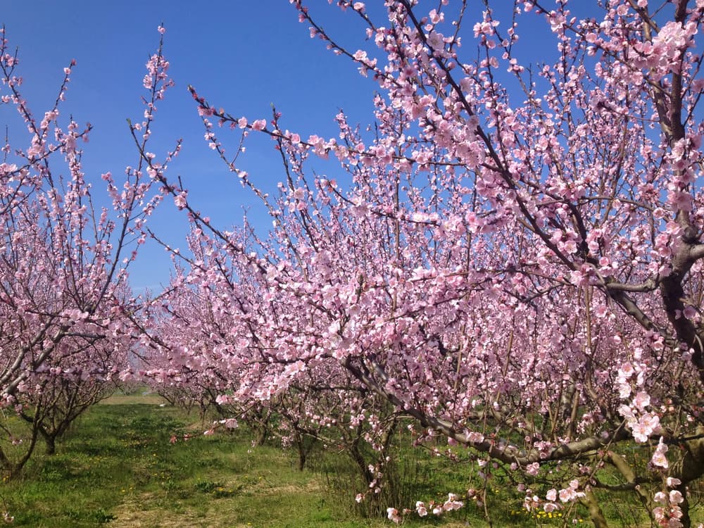 ilustrační obrázek