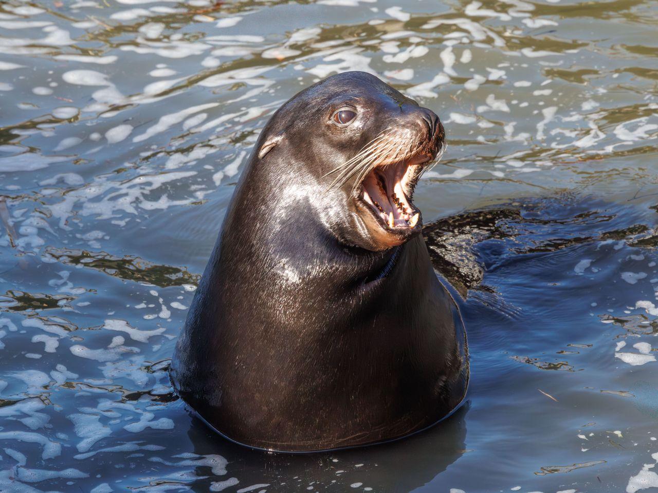 ilustrační obrázek