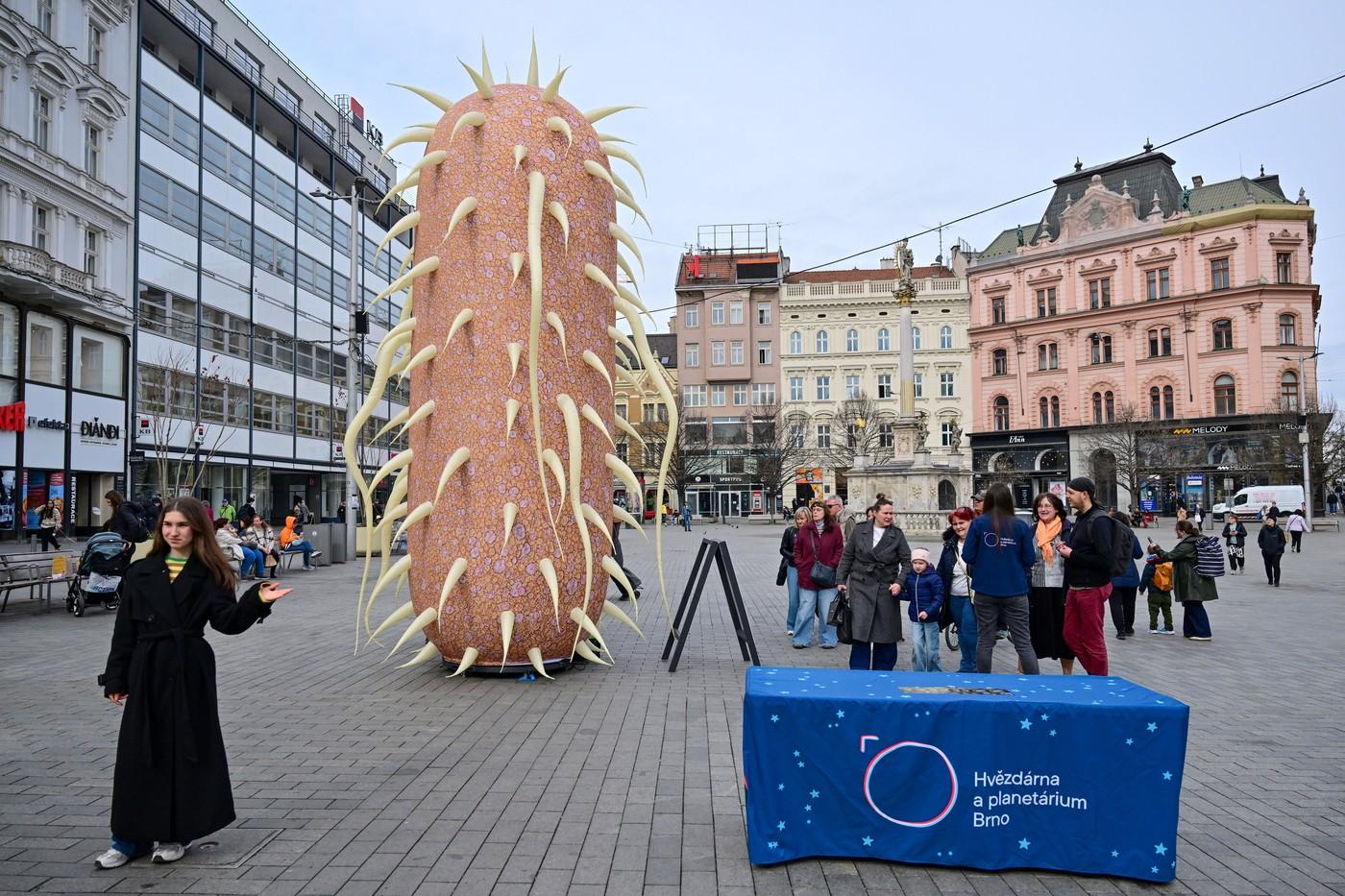 nafukovací model bakterie Escherichia coli