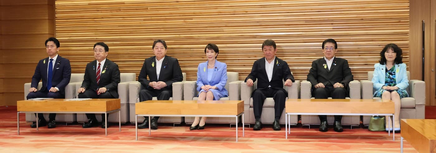 Japonská vláda