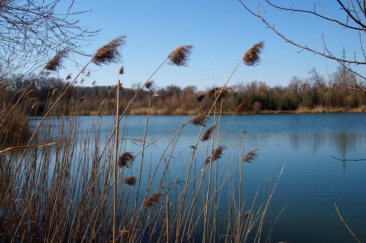 Žehuňský rybník je největší rybník ve Středočeském kraji a devátý největší v Česku