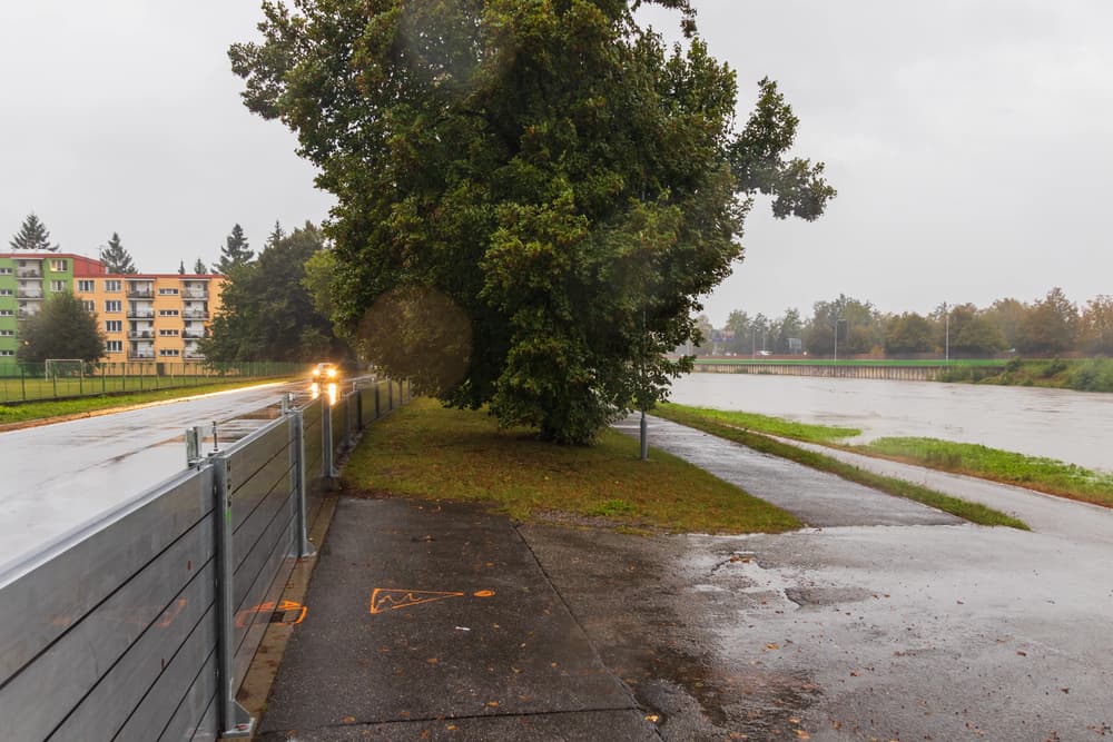 ilustrační obrázek