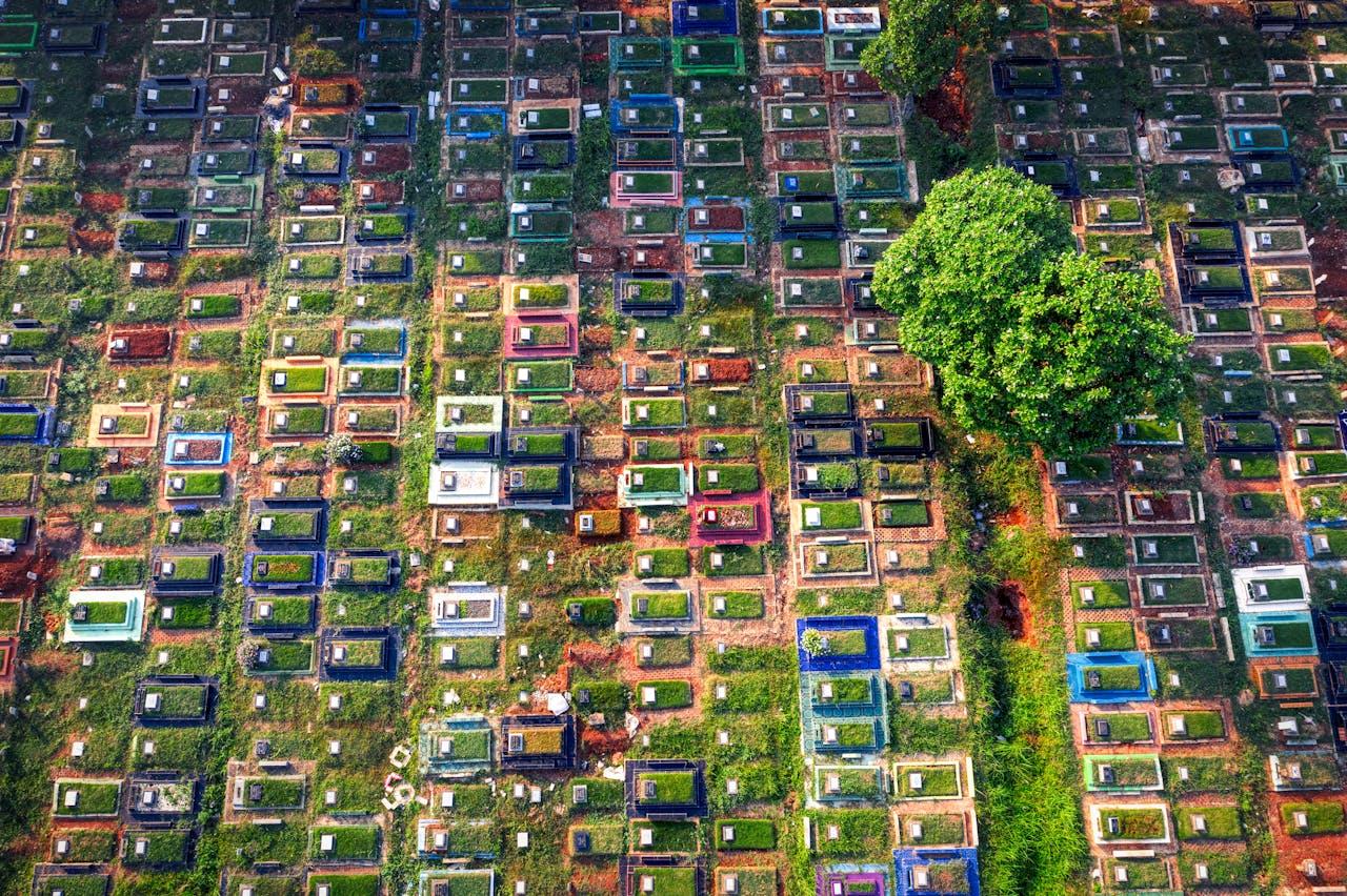 ilustrační obrázek