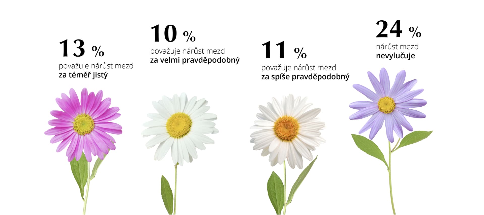 Pravděpodobnost navýšení mzdy