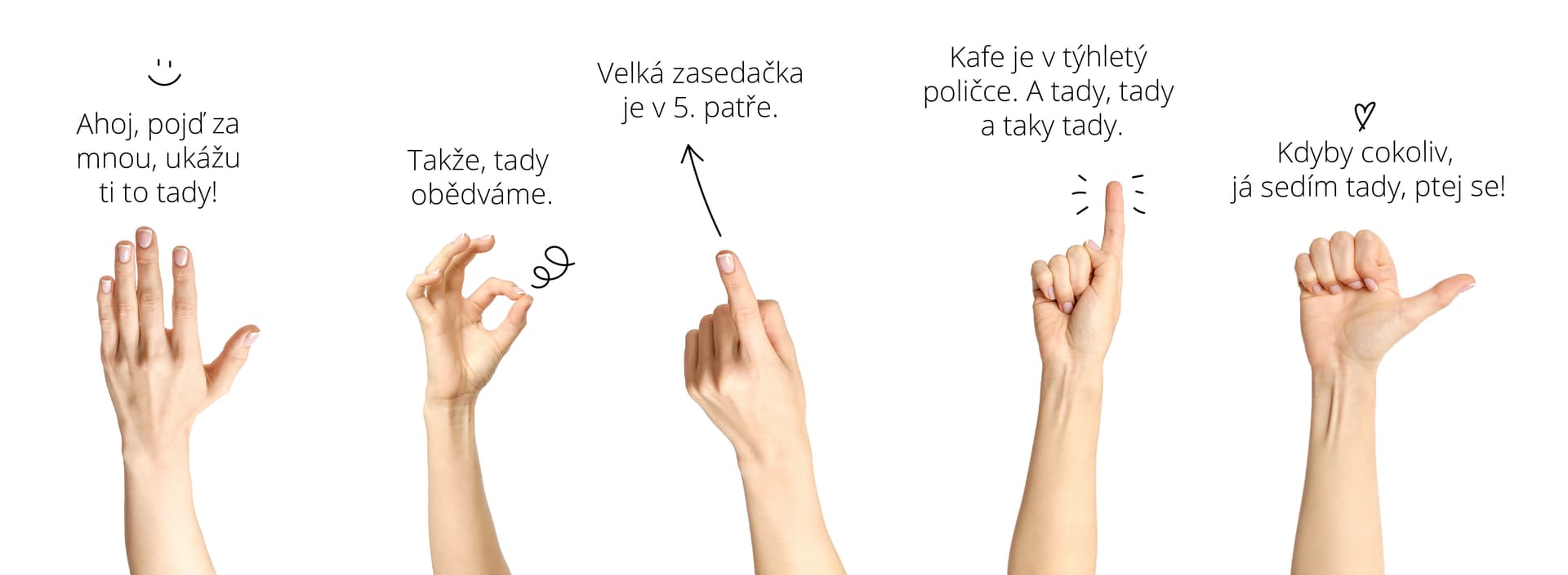 Buddy pro nováčka