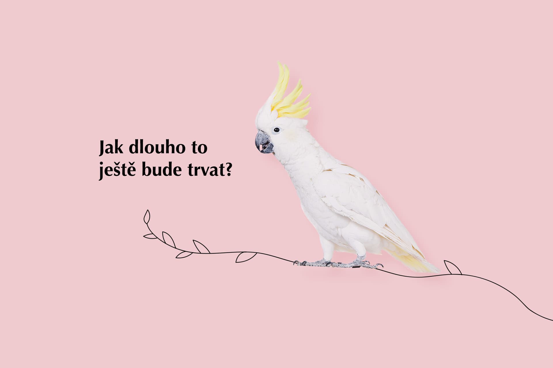 Nejdivnější uchazeči o práci